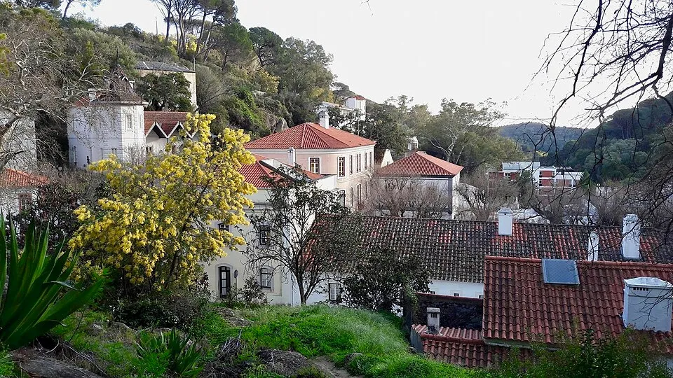 Monchique Countryside