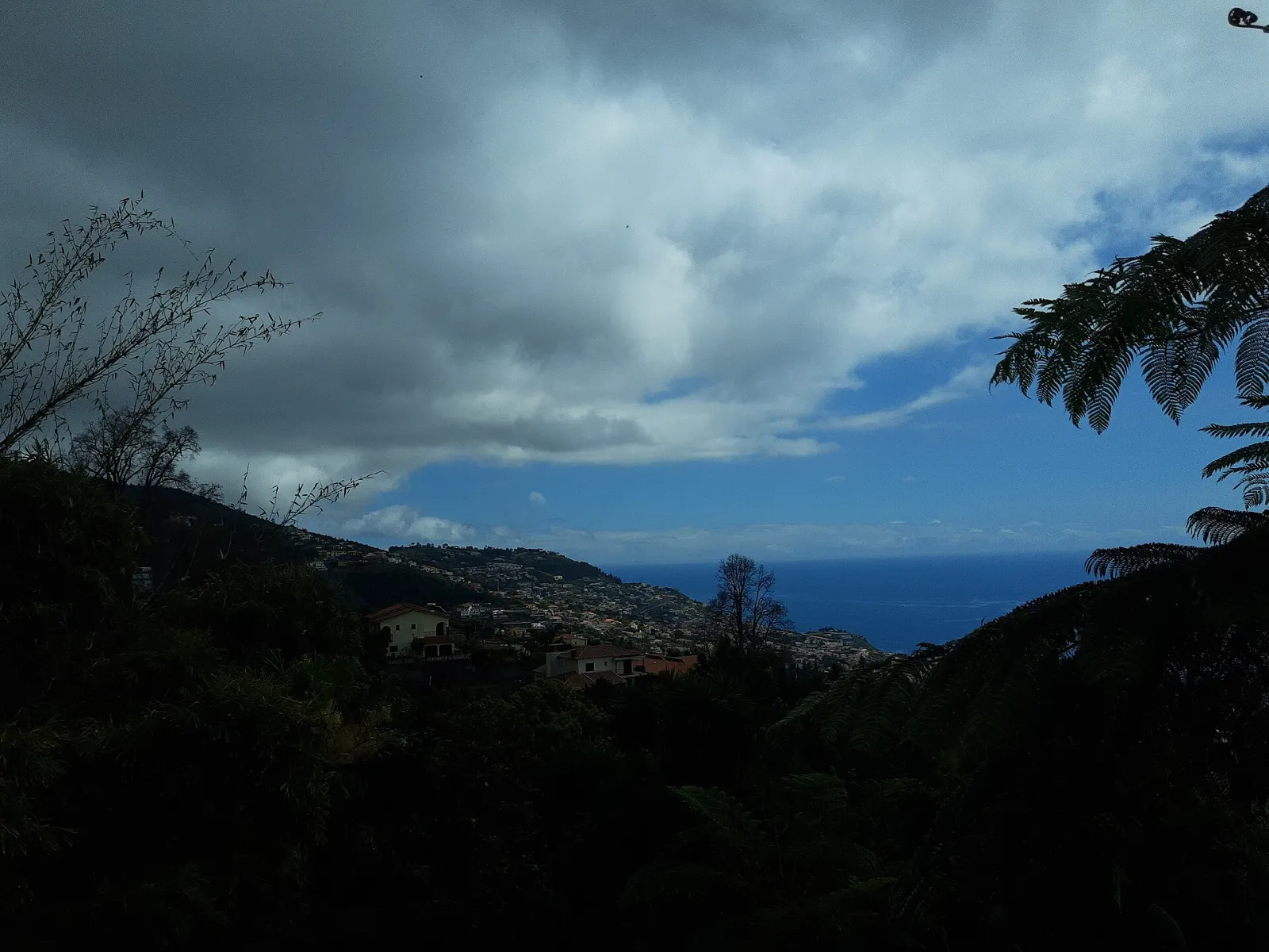 Monte