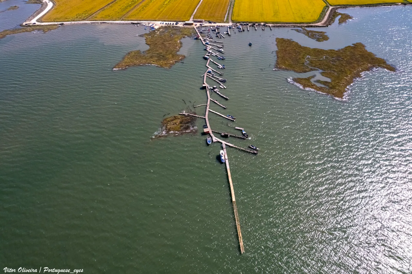 Brejos da Carregueira & Carrasqueira