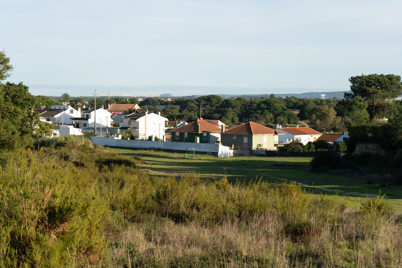 Aroeira
